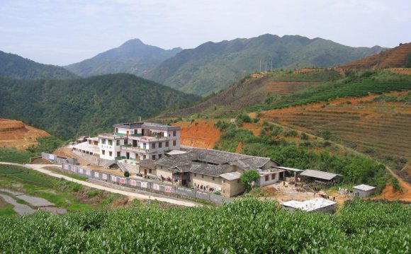 Mingshan Eco-friendly Tea Farm