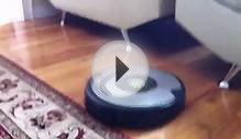 iRobot Roomba Vacuum Cleaner